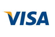 The Visa payment logo
