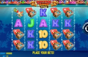 The Book of Dead Slot Game at Casimba Casino