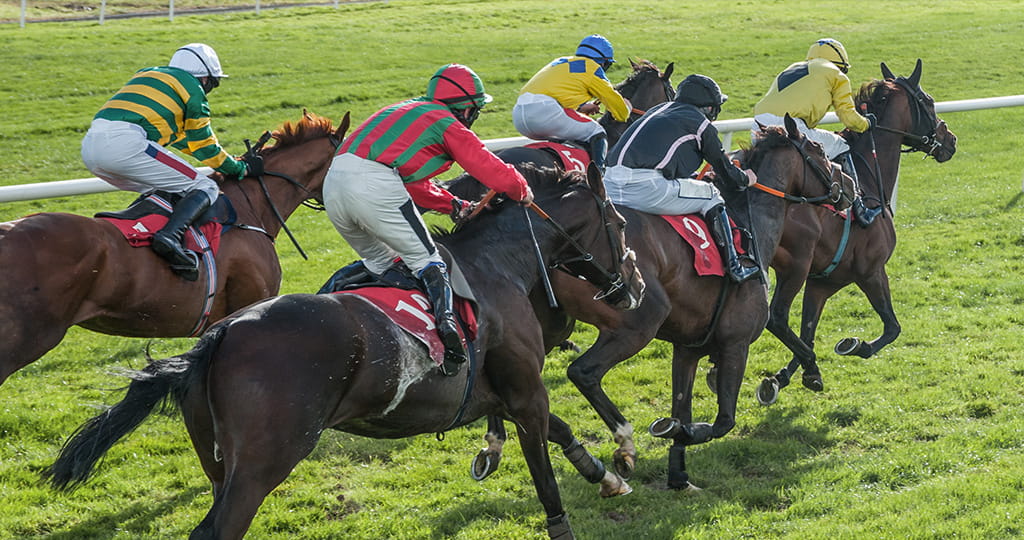 A Shot of Cheltenham Racecourse