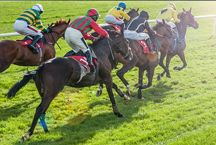 Punchestown Gold Cup Contender Galopin Des Champs