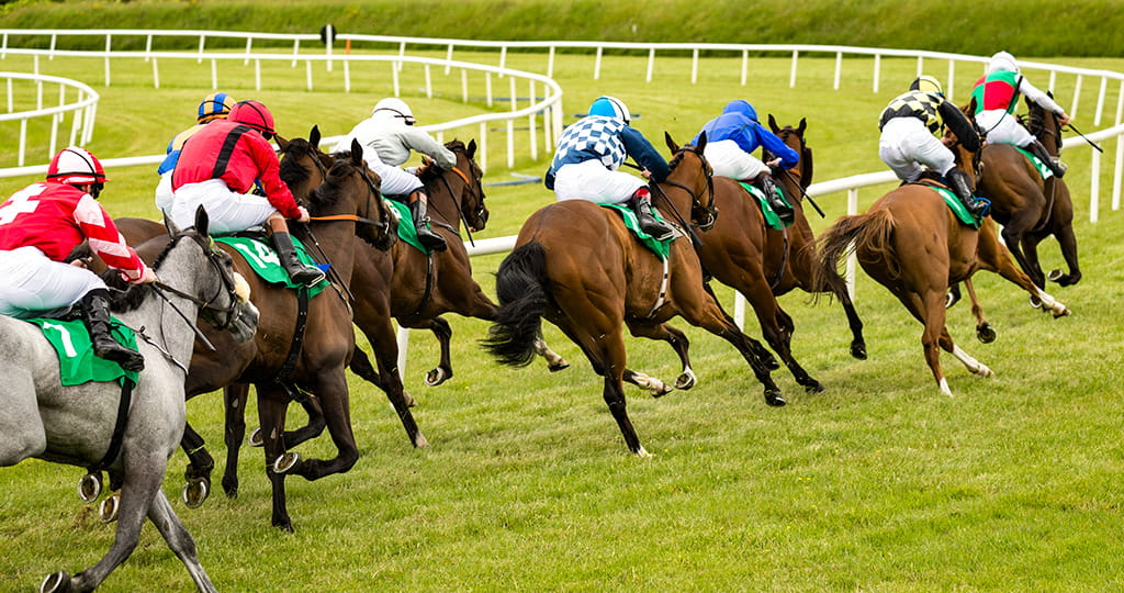 Images or Horses Racing Towards the Finish