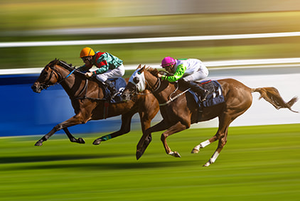 Horses racing towards the finishing line